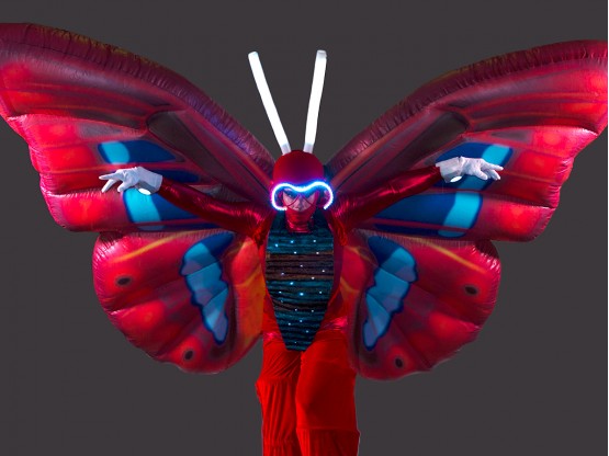 Animació papallona per discoteques