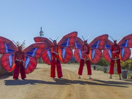 Mariposas con luz