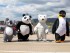 Oso panda para pasacalles