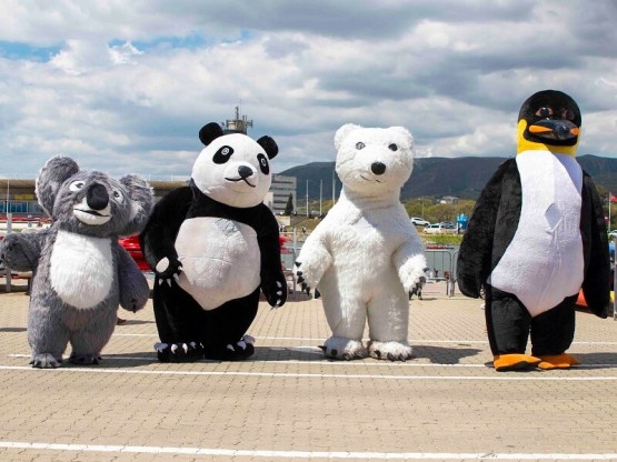 Oso panda para pasacalles