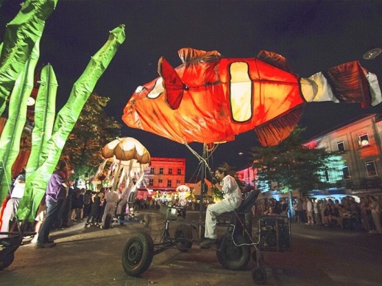 Espectáculo itinerante de peces