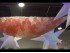 Pluja de globos
