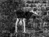 Equilibris sobre pulls