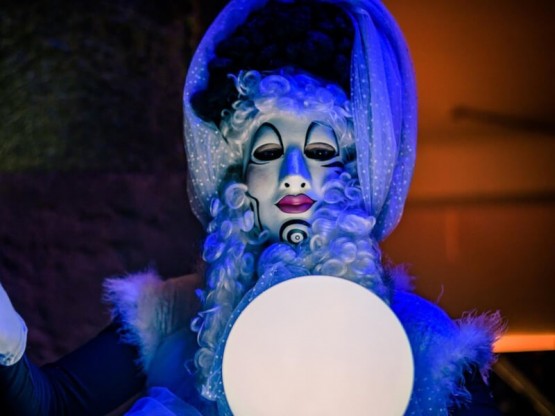 Animació d'esdeveniments, festes, casaments