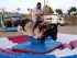 Toro mecánico para fiestas