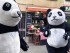 Óssos Panda Inflables