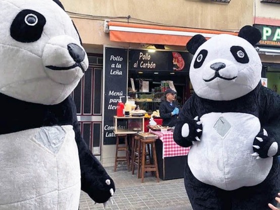 Osos Panda hinchables