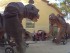 Animació de cercaviles i festes
