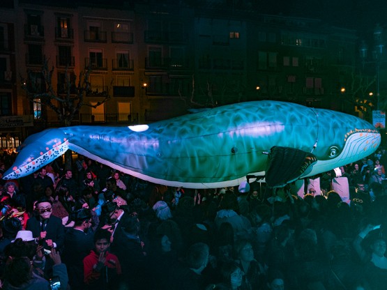 Ballena gigante