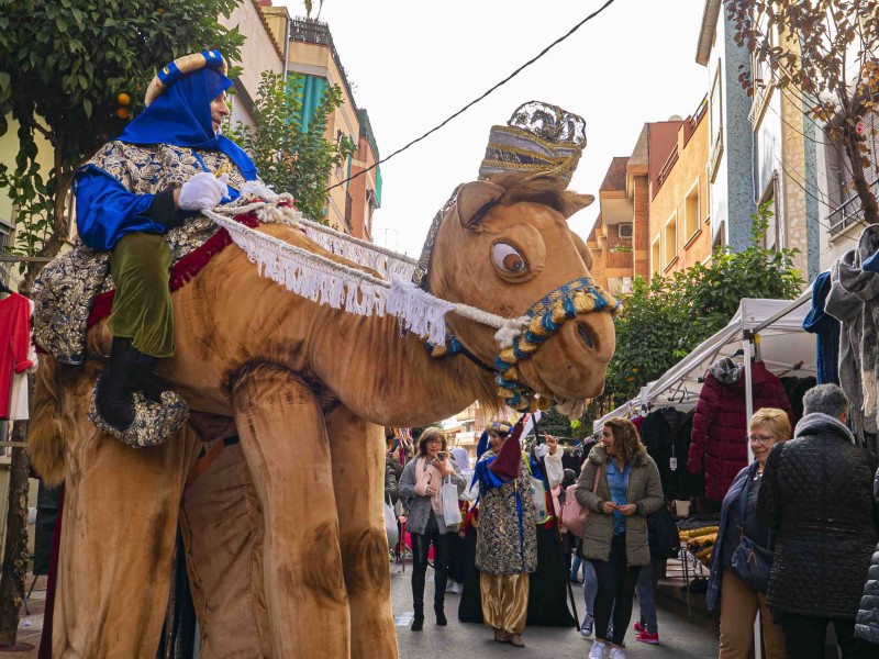 Camel on stilts