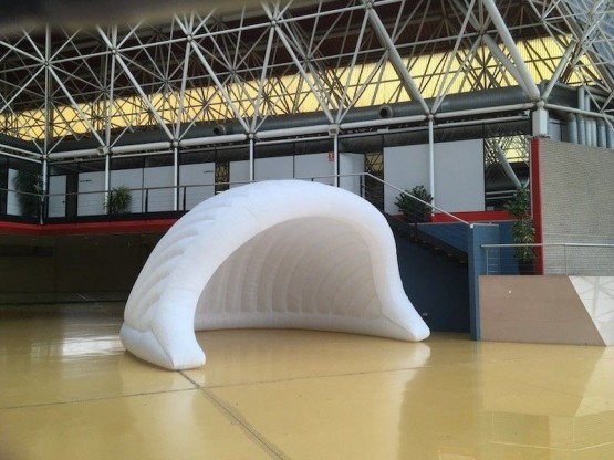 Carpas