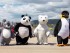 L'Encantador d'Animals