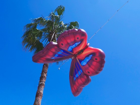Mariposas hinchables con luz