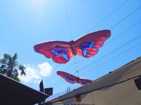 Mariposas hinchables para escenografias
