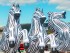 Zebres inflables per a decoracions