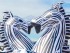 Zebres inflables per a decoracions