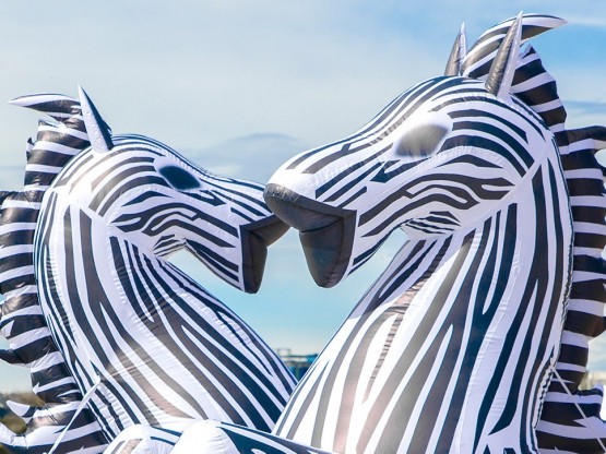 Zebres inflables per a decoracions