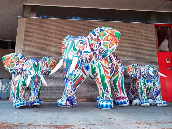 Cercavila d'elefants