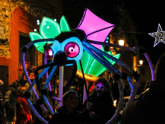 Animals lluminics