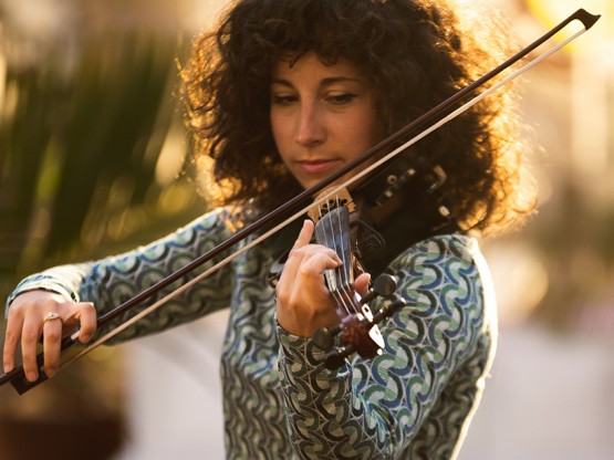 Violín Electrico