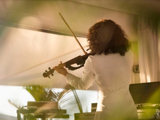 Violín Electrico