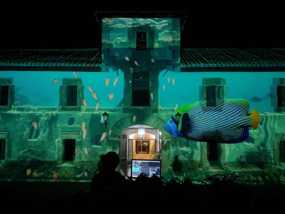 Espectacle amb llums