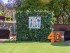 Photocal Hawaià