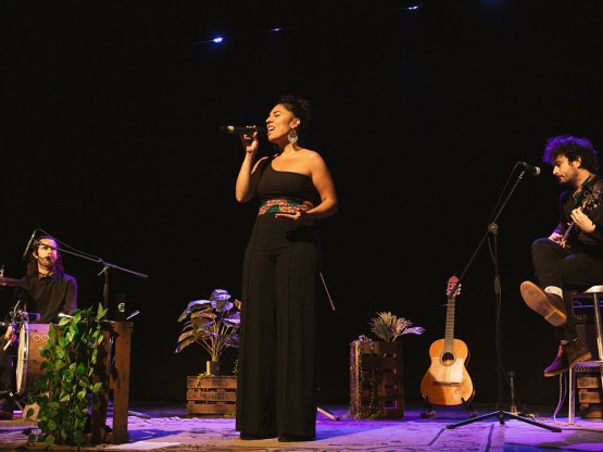 Musica bossa nova