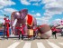 Espectacle de circ itinerant