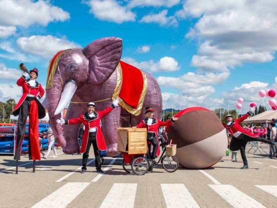 Espectacle de circ itinerant