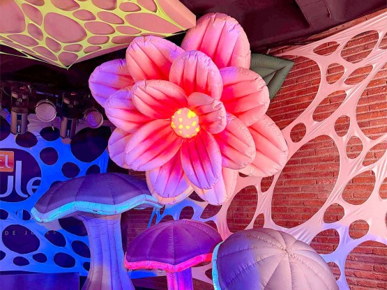 Elementos florales