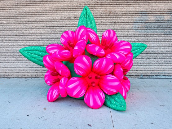 Flores de colores