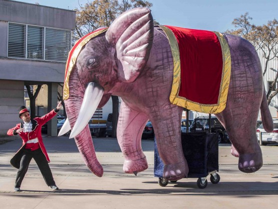 Elefant de circ gegant