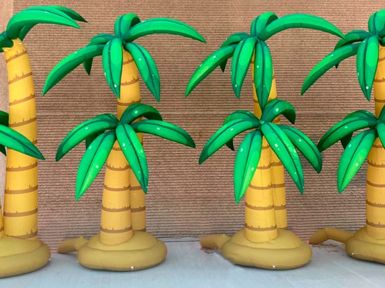 Palmeras