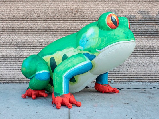 Granota inflable