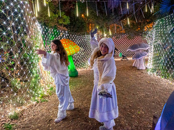 Campamentos de reyes magos