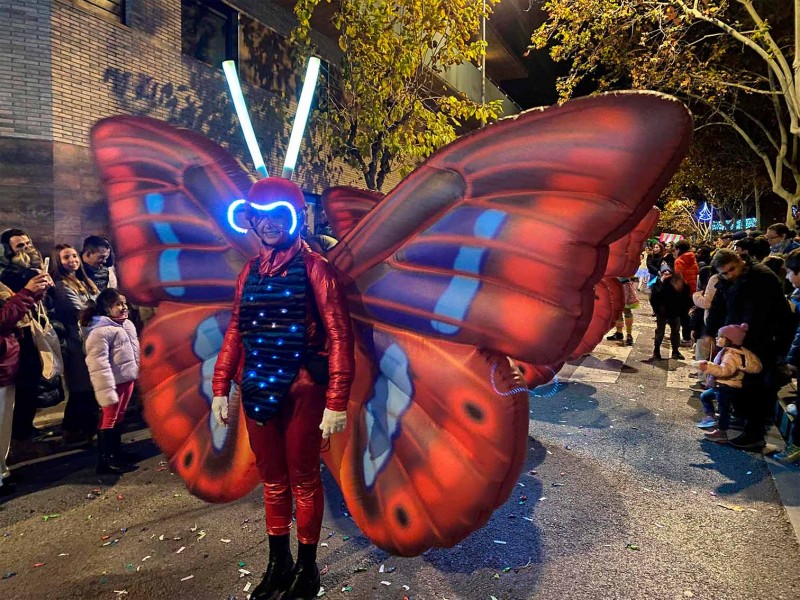 Butterflies
