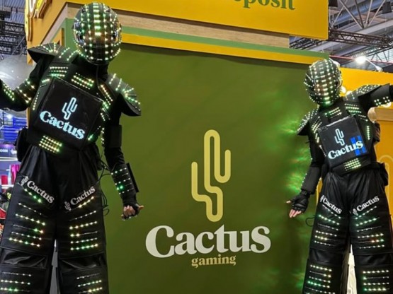 Animació amb xanquers led