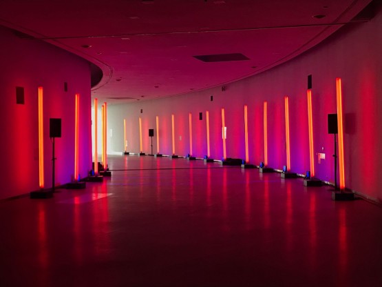Decoración led para eventos