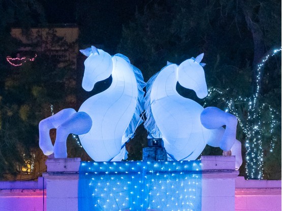 Caballos Decoración