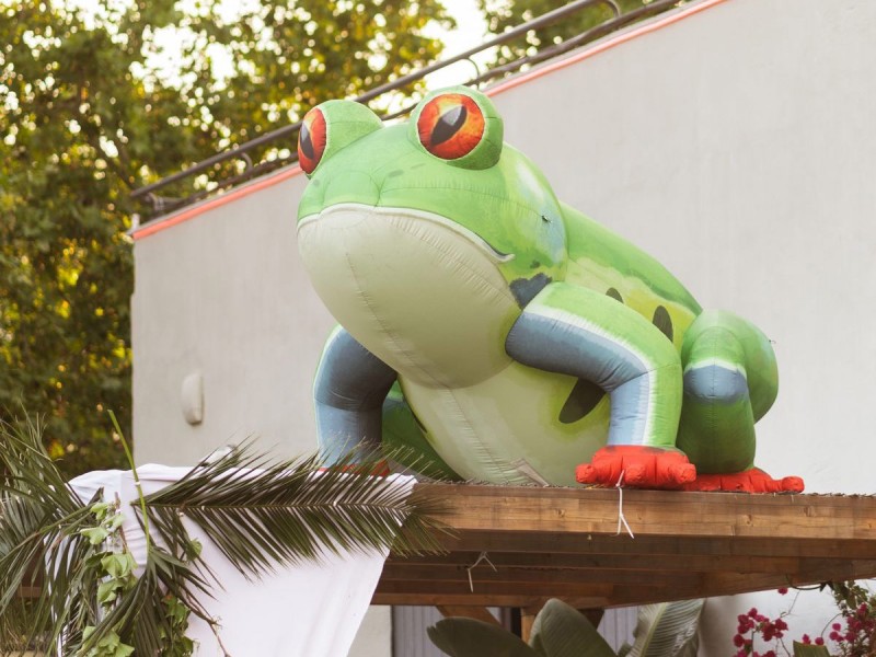 Granota inflable