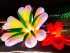 Elementos hinchables