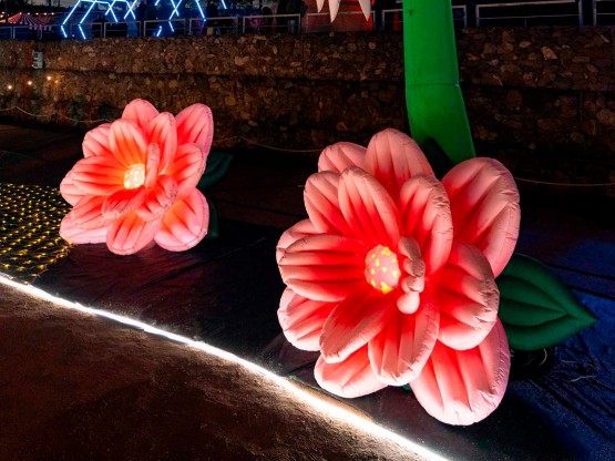 Decoraciones
