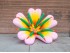 Tipos de flores