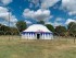 Carpa gran