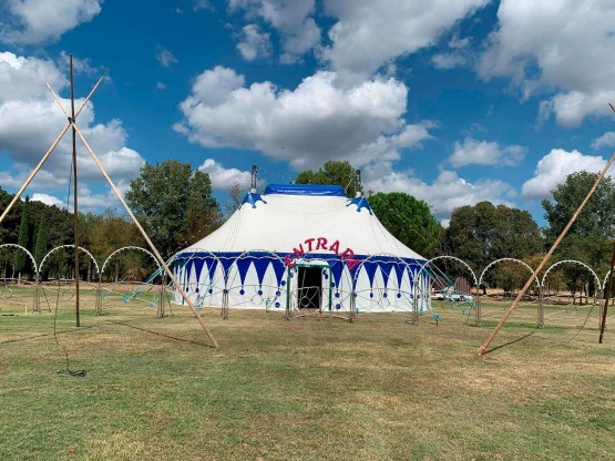 Carpa gran