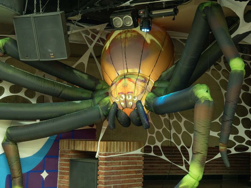 Araña
