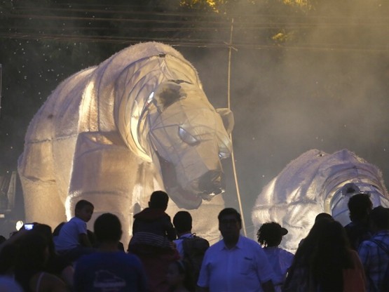 Animals lluminosos gegants