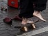 Fakir per esdeveniments i festes