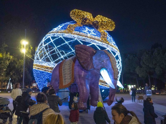 Elefante de circo